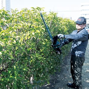 Makita 18V LXT BL 60 cm (23-5/8") Cordless Hedge Trimmer (Bare Tool), DUH602Z