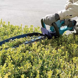 Makita 18V LXT 50 cm (19-3/4") Cordless Hedge Trimmer with Rapid Charger & 1 Pcs 5.0Ah Battery, DUH507F001