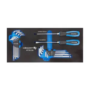 Hogert 20 Pcs Screwdriver & Allen key Set, HT7G134