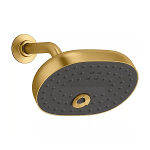 Kohler Statement Multi-Function Shower Head In Brushed Bronze Finish, K-26290IN-BV