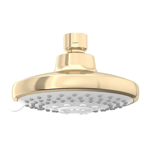 Kohler Rain Duet Multi Function Shower Head Without Shower Arm In French Gold Finish, K-75924IN-AF
