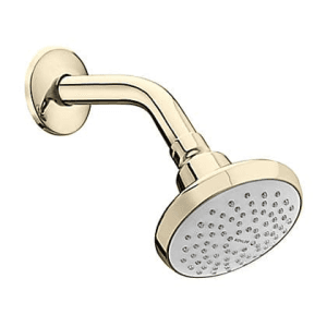 Kohler Complementary Single Function Shower Head With Shower Arm & Flange In French Gold Finish, K-16356IN-A-AF