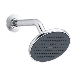 Kohler APT Round Single Function Organic Showerhead With Shower Arm in Polished Chrome Finish, K-34042IN-CP