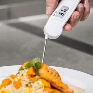Testo -30 to +220°C Food Thermometer with Foldable Temperature Sensor, Testo 103