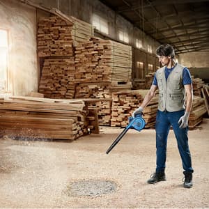 Bosch 820W Professional Blowers with Dust Extraction, GBL 82-270