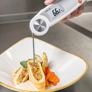 Testo -50 to +250°C Waterproof Food Thermometer with Folding Temperature Sensor, Testo 104