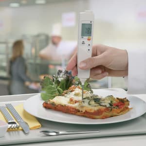 Testo -50 to +275°C Compact Food Thermometer, Testo 106