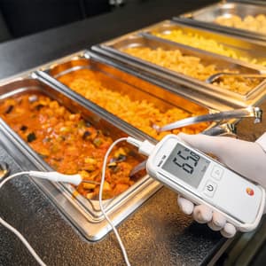 Testo -50 to +300°C Waterproof Digital Food Thermometer, Testo 108