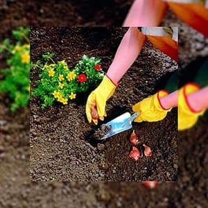Wolf Garten 50 mm Planting Trowel, LU-P