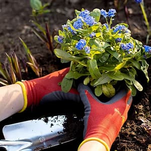Wolf Garten Bed-Gloves (Soil), GH-BO 7