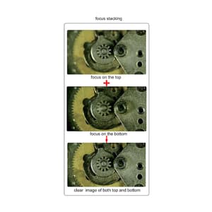Insize 14.7X ~ 122.7X Motorized Focus Stacking Microscope with Display, ISM-DL520