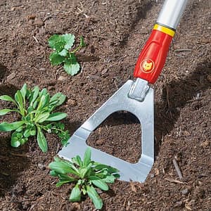 Wolf Garten 130 mm Dutch Hoe, DH-M