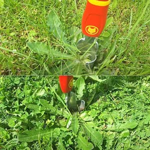 Wolf Garten 40 mm Thistle Extractor, iW-M