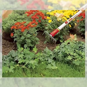 Wolf Garten 190 mm Small Rake, DS-M 19