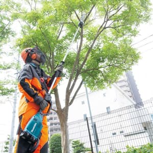 Makita 18V X2 (36V) LXT BL 30 cm (12") Cordless Pole Saw with Rapid Charger & 2 Pcs 5.0Ah Batteries, DUA300PT2