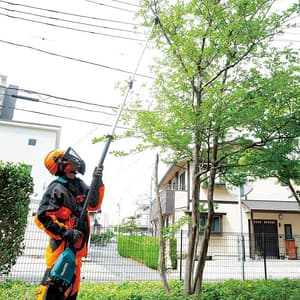 Makita 18V X2 (36V) LXT 30 cm (12") Cordless Telescopic Pole Saw with Rapid Charger & 2Pcs 5.0Ah Batteries, DUA301PT2
