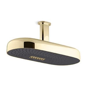 Kohler Statement 453 mm Deep Massage Rain Head In French Gold Finish, K-26297IN-AF