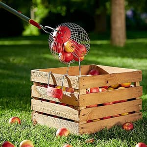 Wolf Garten 300 mm Fruit Collector, FC-M
