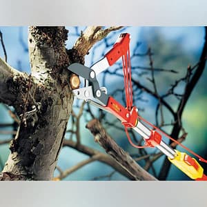 Wolf Garten Anvil Lopper, RC-M