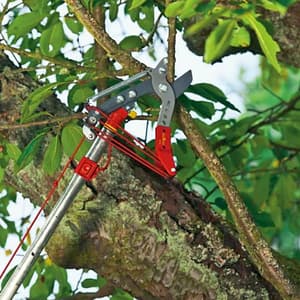 Wolf Garten 36 mm Professional Bypass Lopper, RR-VM