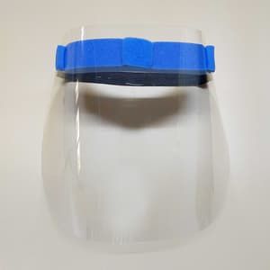 TB Basics Face Shield (PPE)