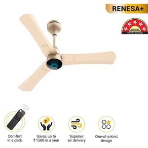 Atomberg Renesa+ 900 mm Energy Efficient Dust Resistant Ceiling Fan With BLDC Motor & Remote (Metallic Gold)