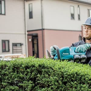 Makita 18V X 2 (36V) LXT Li-Ion 650 mm Cordless Hedge Trimmer (Bare Tool), DUH651Z
