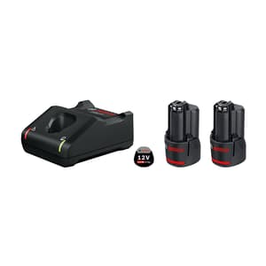 Bosch GAL 12V-40 + 2x GBA 12V 2.0Ah Professional Starter Set, 1 600 A02 2V3