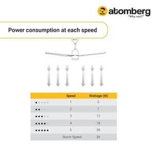 Atomberg Renesa 600 mm Energy Efficient Ceiling Fan With BLDC Motor & Remote (Black)