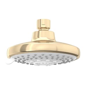 Kohler Rain Duet Multi Function Shower Head Without Shower Arm In French Gold Finish, K-75924IN-AF
