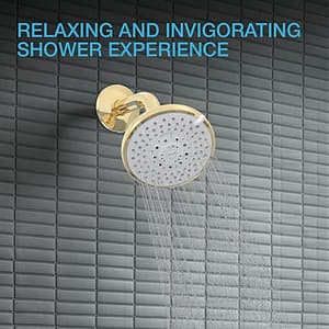 Kohler Rain Duet Multi Function Shower Head Without Shower Arm In French Gold Finish, K-75924IN-AF