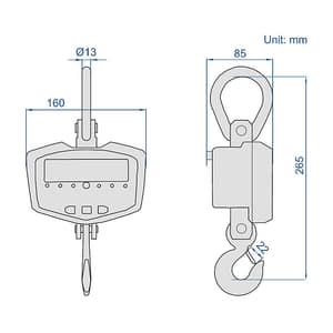 Insize 500 kg Electronic Crane Scale (Basic Type), 8203-CW05T