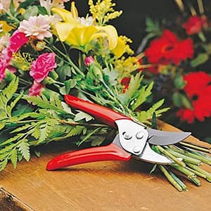 Wolf Garten 19 mm Bypass Graden shear, RR-EN