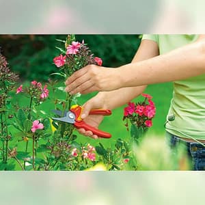 Wolf Garten 18 mm Bypass Secateurs (Basic Plus), RR 1500