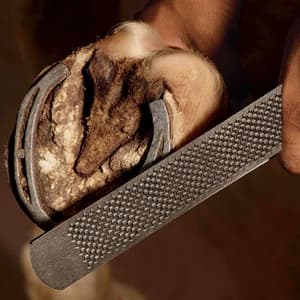JK 350 mm / 14 inch Horse Shoe Rasp With Tang