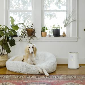 Karcher 24W AF20 Room Air Purifier For 40m² Area, 1.024-820.0