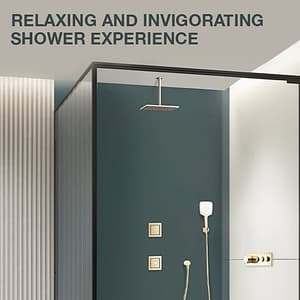 Kohler Mastershower Ceiling Mount Shower Arm In French Gold Finish, K-16347IN-AF