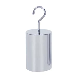 Insize 50 Gms Single Hook Weight for Mass Value (F2 Class), 8914-50GF2