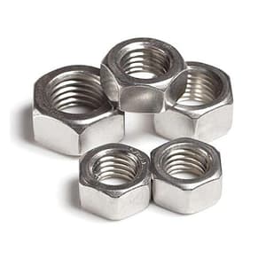TB Basics M18 Dia. Stainless Steel Hex Nuts (Pack Of 50 Pcs)