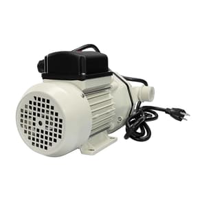 Groz 220V AC Electric Diaphragm DEF Transfer Pump, DEFP/220