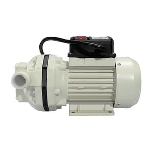 Groz 220V AC Electric Diaphragm DEF Transfer Pump, DEFP/220