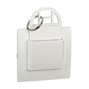 Schneider Electric Opale 20 Amp Mechanical Key Tag Switch, AAKX6005