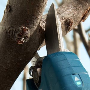 Bosch 12V Pro Pruner Cordless Secateur, 0 601 9K1 0F1