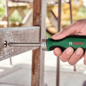 Bosch 12 Pcs Bit Ratchet Screwdriver Set, 1 600 A03 2V0