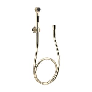 Kohler Elate Single-function Health Faucet with Hose & Bracket in French Gold Finish, K-97258IN-ZZ-AF