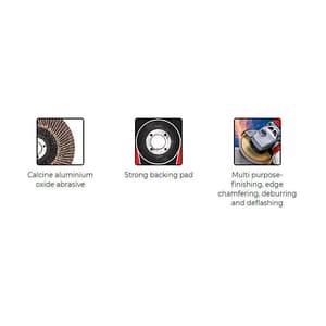 Freemans 100 mm x 16 mm / A120 Grit Power Flap Disc, FDR100-120