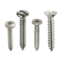 TB Basics M12 Dia. S.S 304 Self Tapping Screw