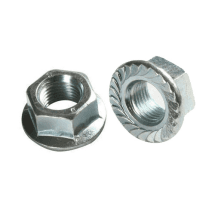 Pentagon 3 mm - 12 mm Stainless Steel 202 & 304 Flange Nuts