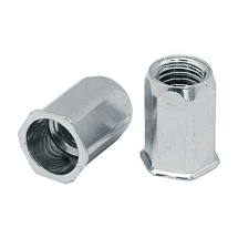 Pentagon 4 mm - 10 mm (SS304) Insert Nut / Rivet Nut with Full Hex Body Reduced Head