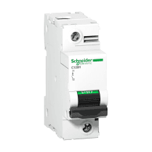 Schneider Electric 80 Amp - 125 Amp AC Miniature Circuit Breakers - C120 - 15kA (1 Pole & C Curve)